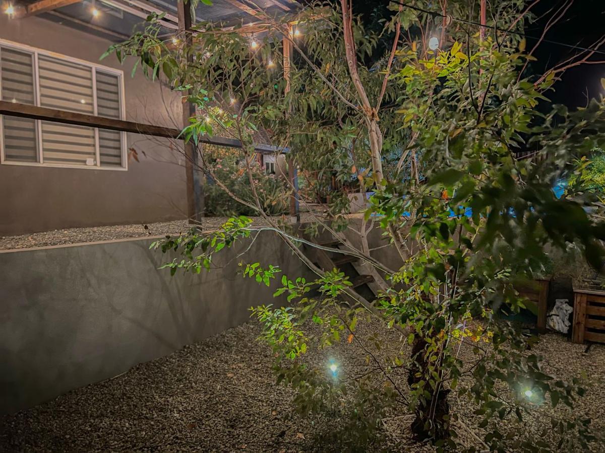 Lama Y Solo Unique Private Room Walking Distance To The Beach شاطئ بالم المظهر الخارجي الصورة